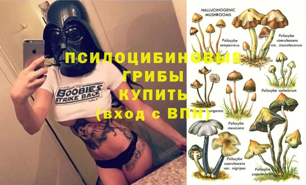 ECSTASY Абинск