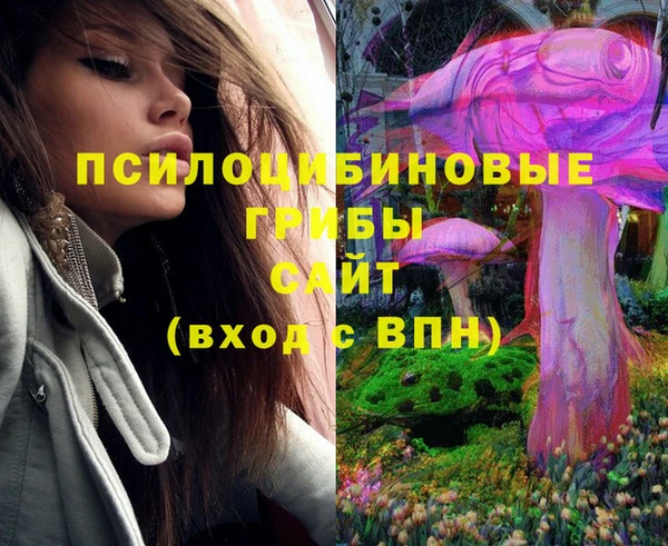 экстази Абаза