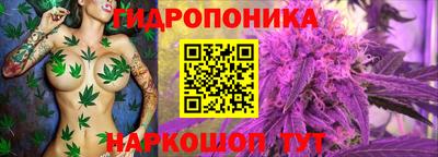 a pvp Абакан