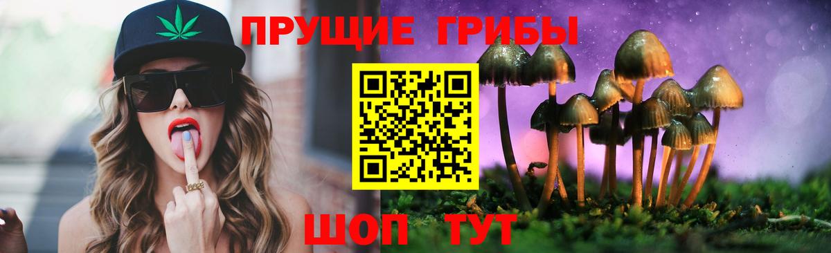 Псилоцибиновые грибы Psilocybine cubensis  Псилоцибиновые грибы Psilocybine cubensis  Азнакаево  Вход с VPN 